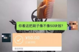 潍城债务清欠服务